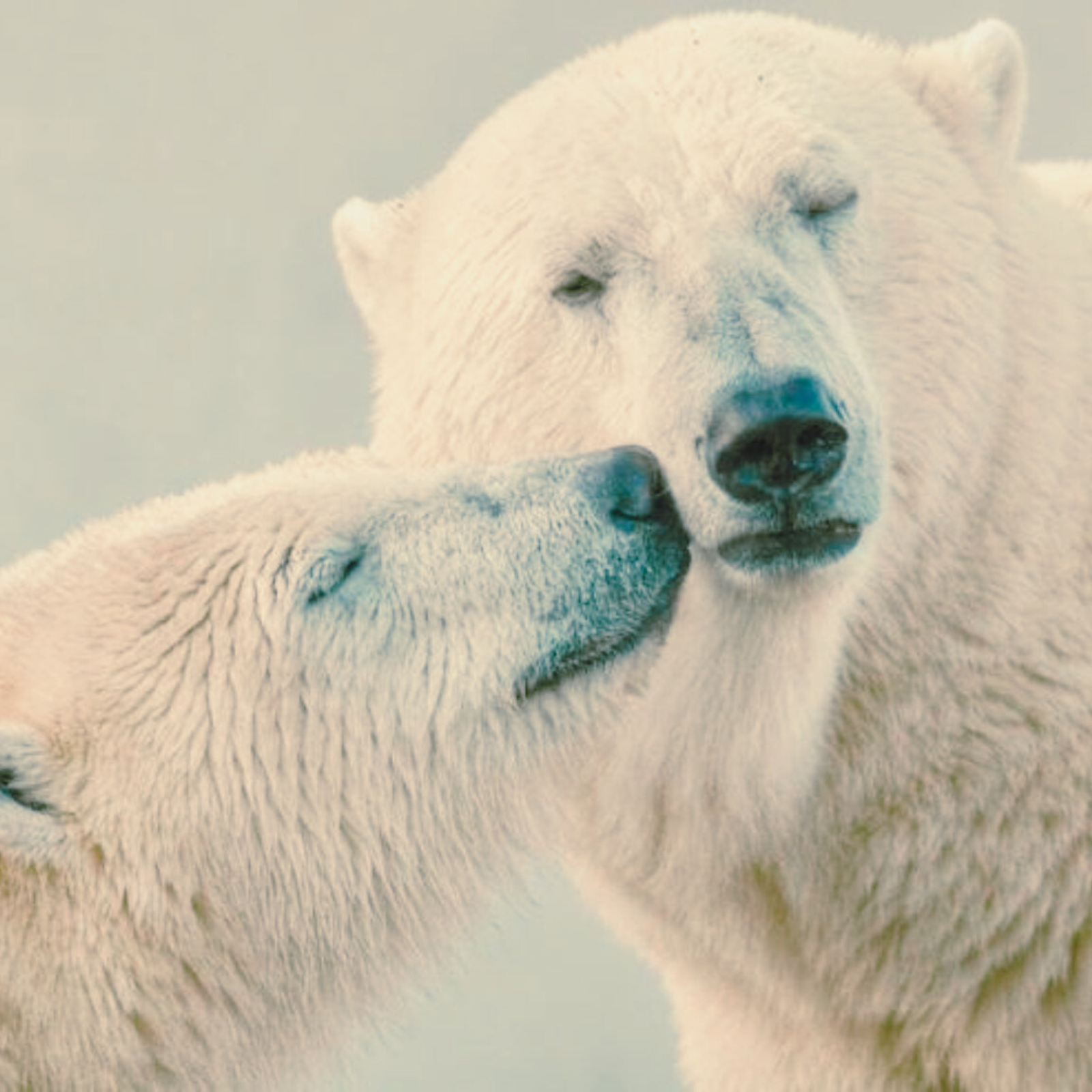 La fertilité féminine et masculine