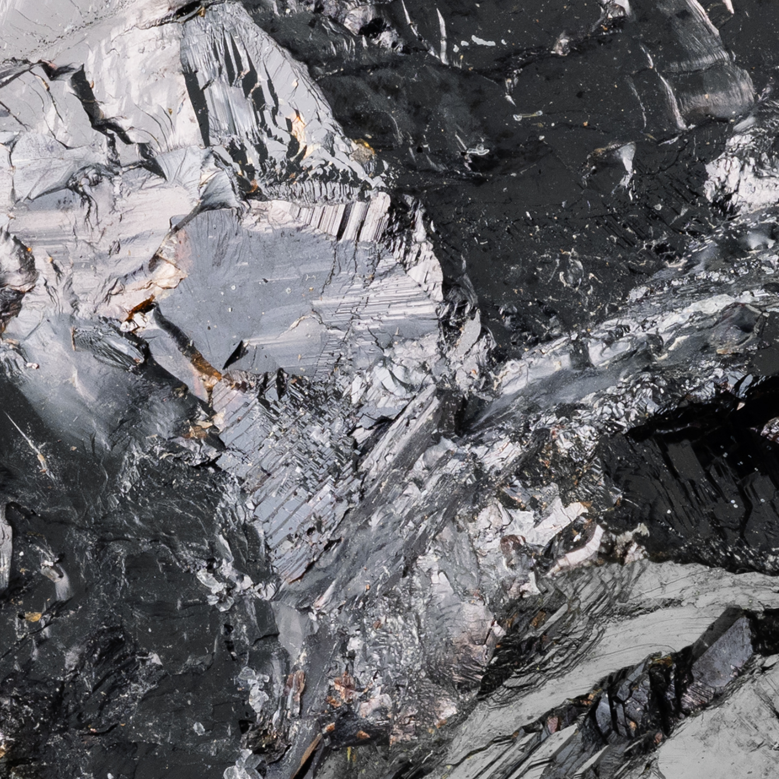 L’importance du zinc dans la fertilité féminine et masculine