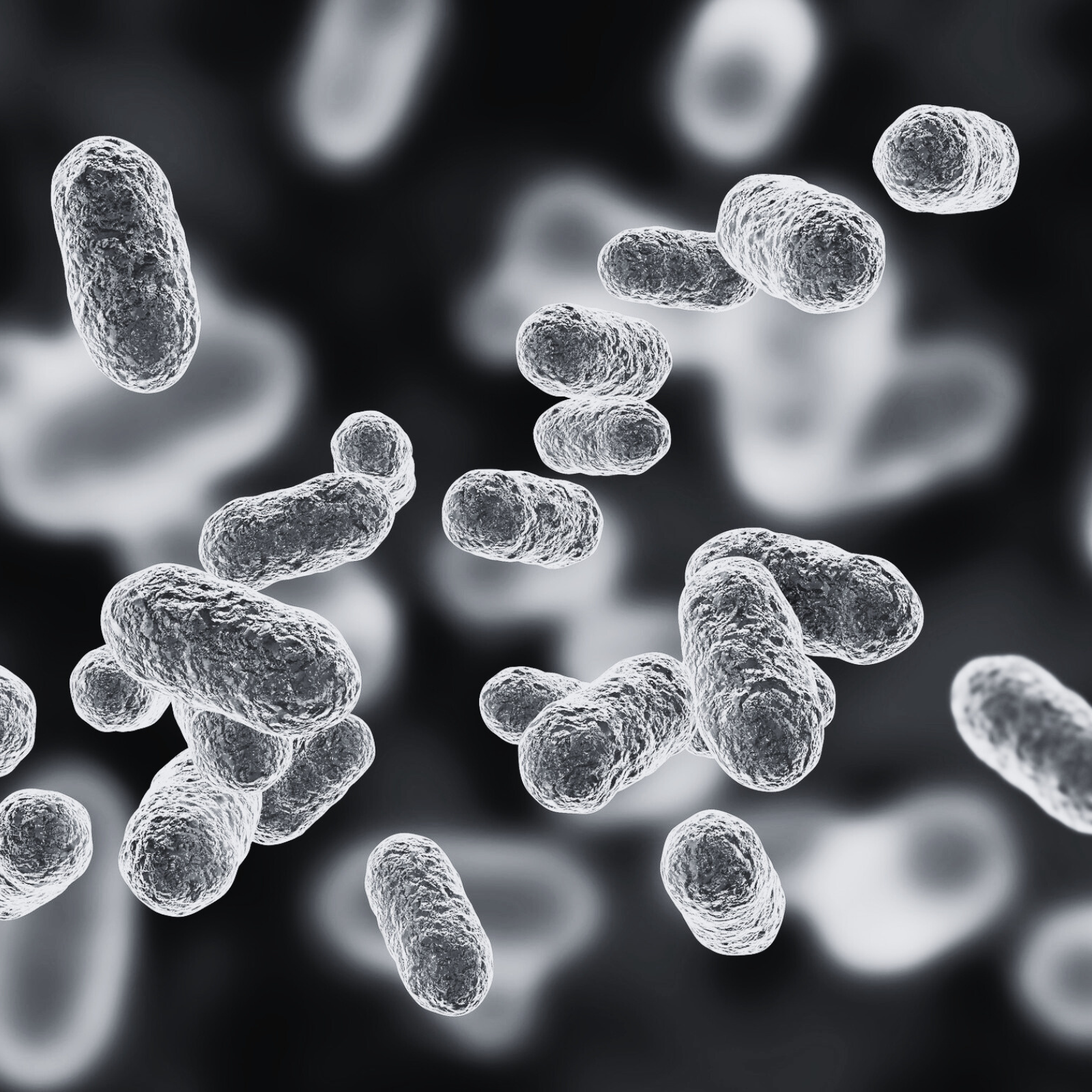 Existe-t-il un lien entre le microbiote et la fertilité ?