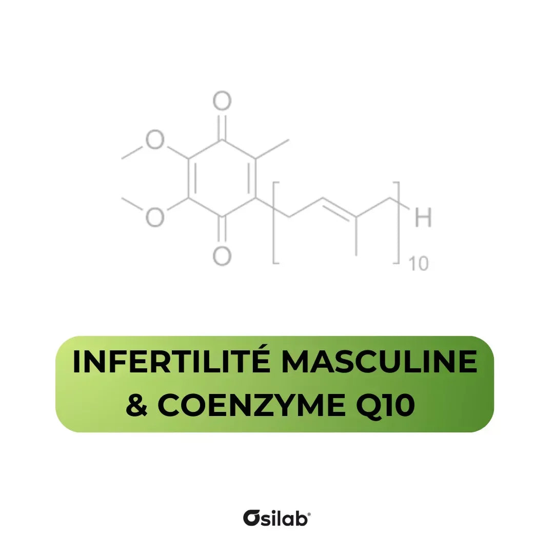 Le Coenzyme Q10 dans la fertilité masculine